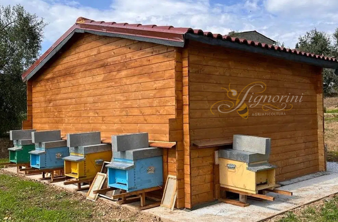 Apiterapia Pisa Toscana - Apiario del Benessere all'interno dell'azienda agricola e apicoltura Signorini