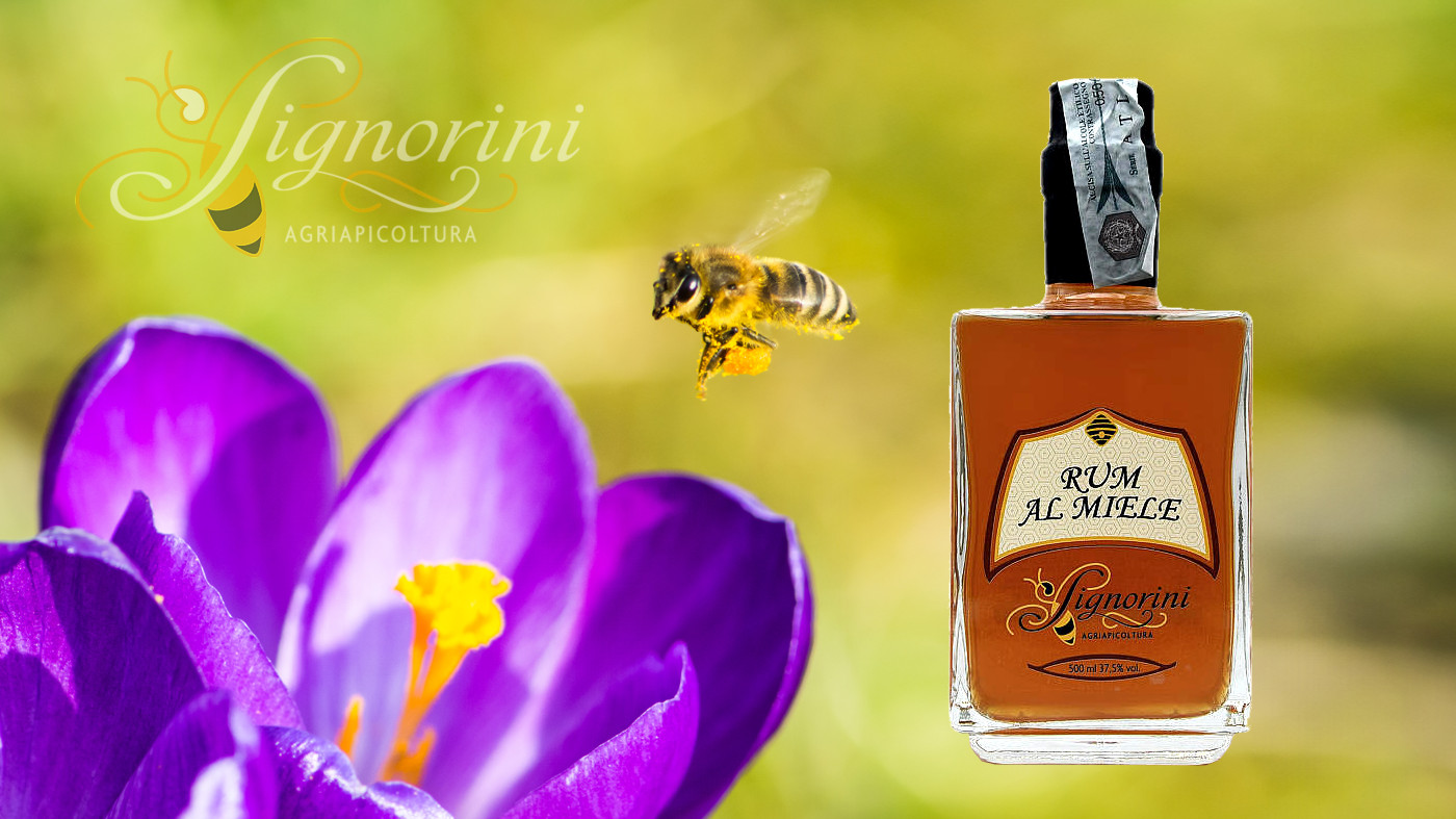 Liquori AgriApicoltura Signorini - Liquori al Miele e Amaro della Regina
