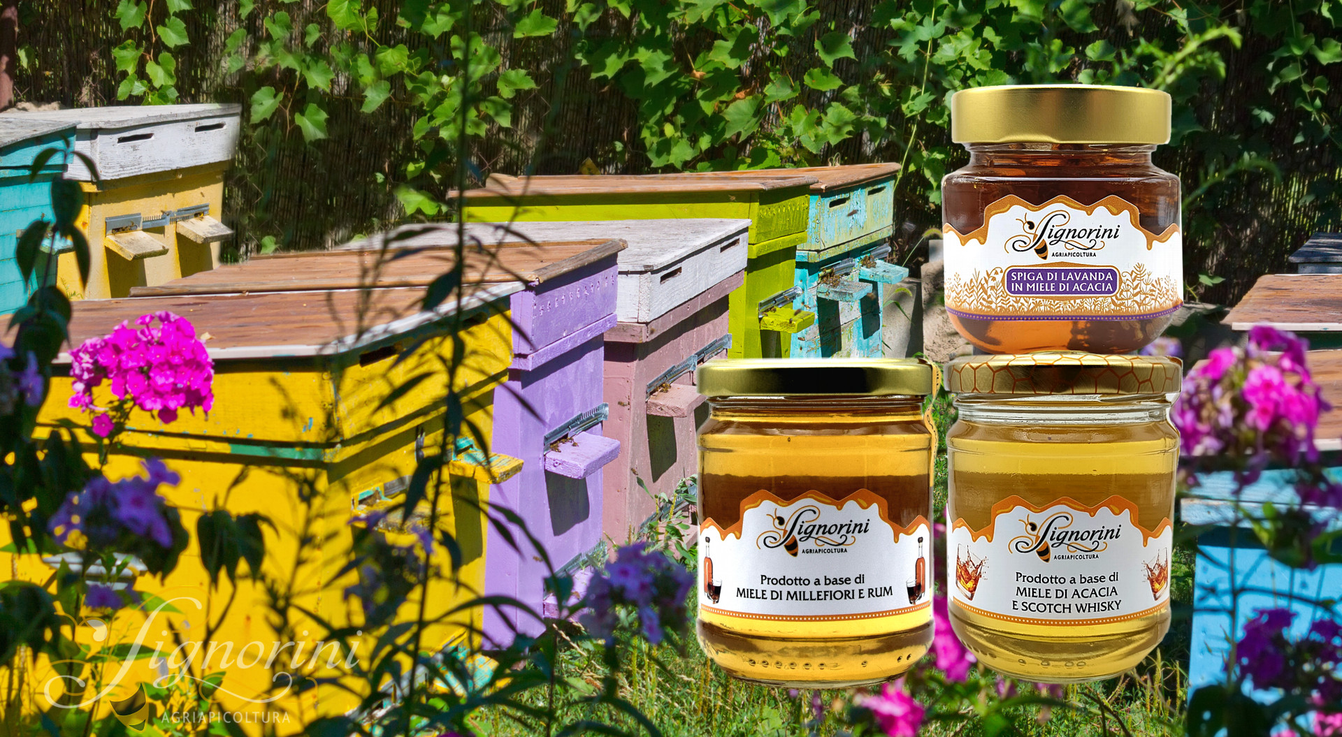 Miele Aromatizzato AgriApicoltura Signorini | Miele e Arancia | Miele e Limone | Miele e Rum | Miele e Scotch Whisky | Spiga di Lavanda e Miele di Acacia