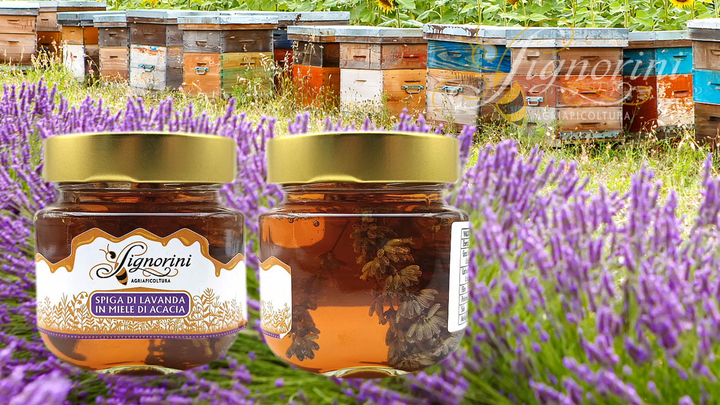 AgriApicoltura Signorini - Miele Aromatizzato - dal Miele e Arancia al Miele e Spiga di Lavanda