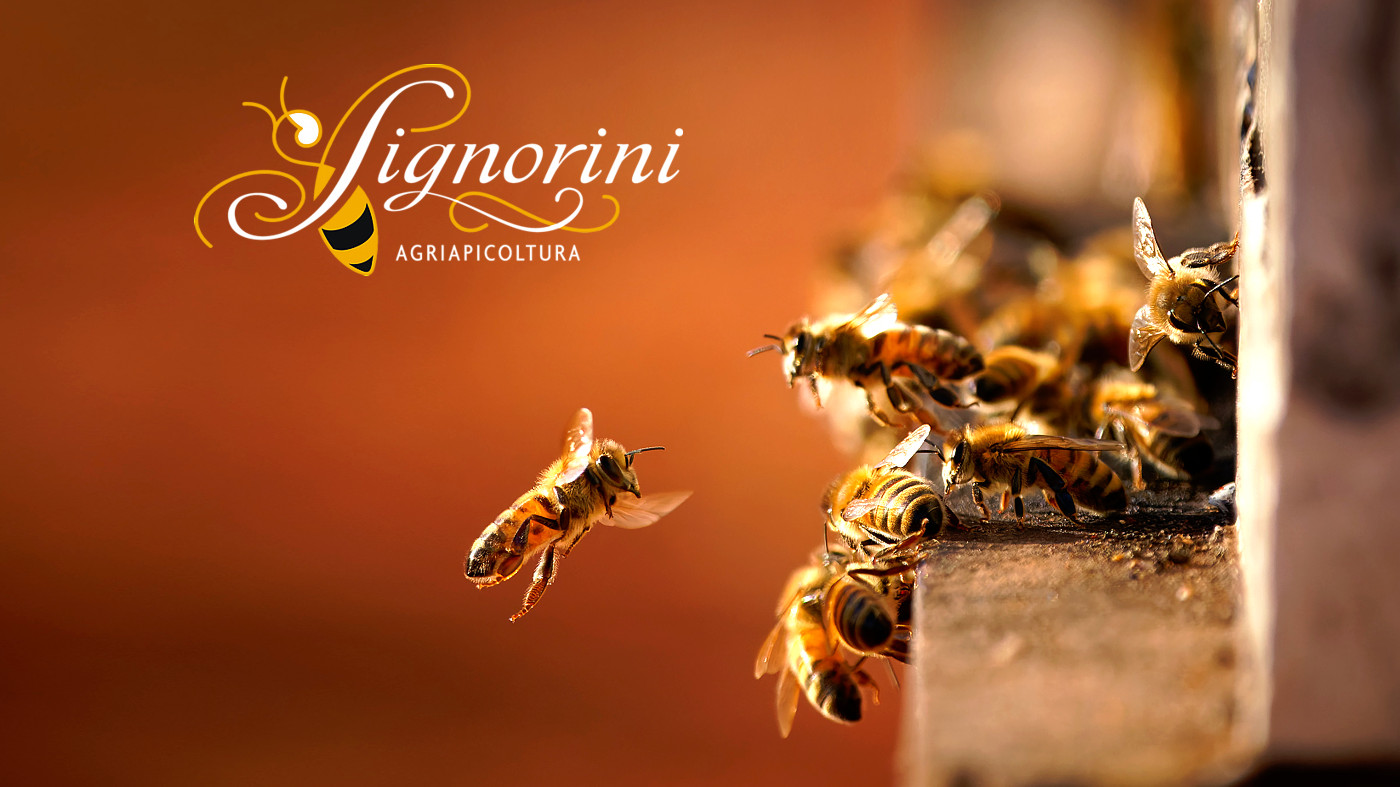 AgriApicoltura Signorini - Mielagro® - Liquore al Miele - Miele Aromatizzato